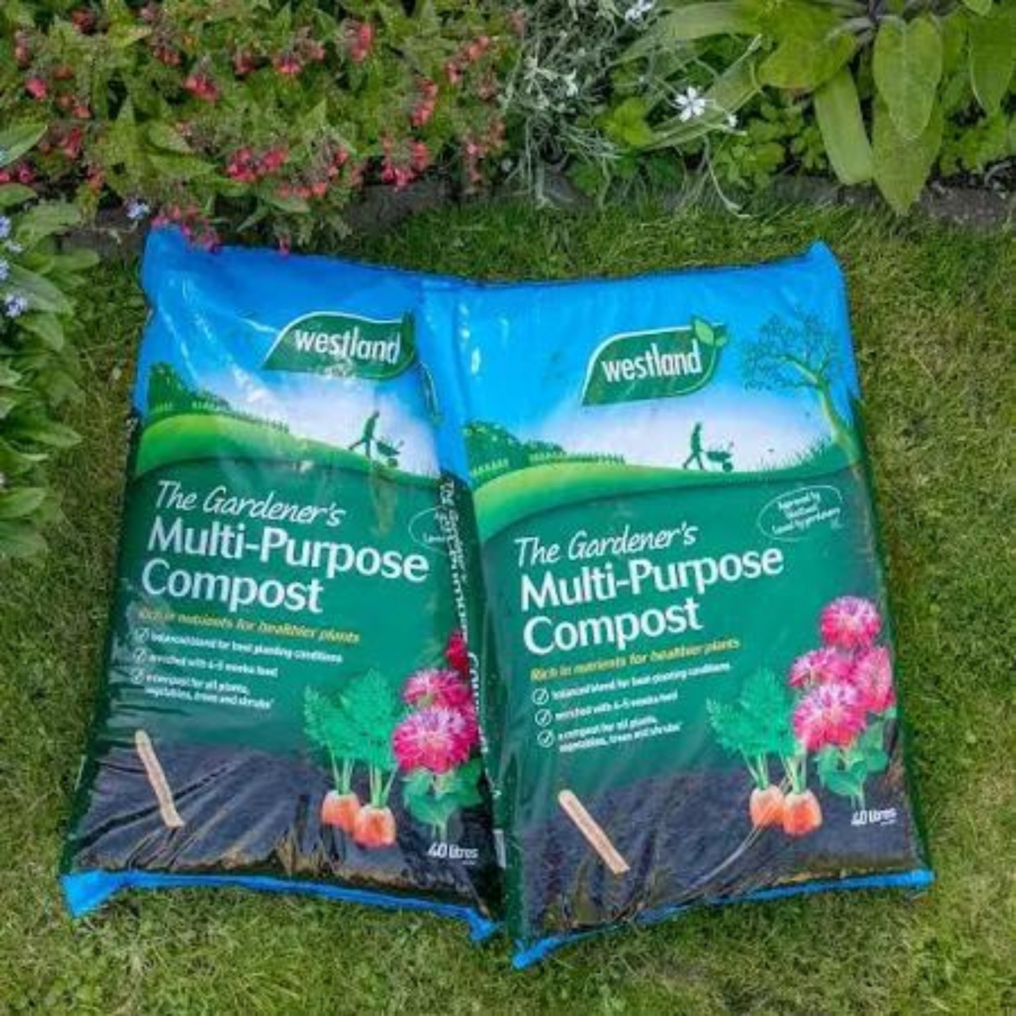 All Purpose Peat Compost 40l Twin Pack