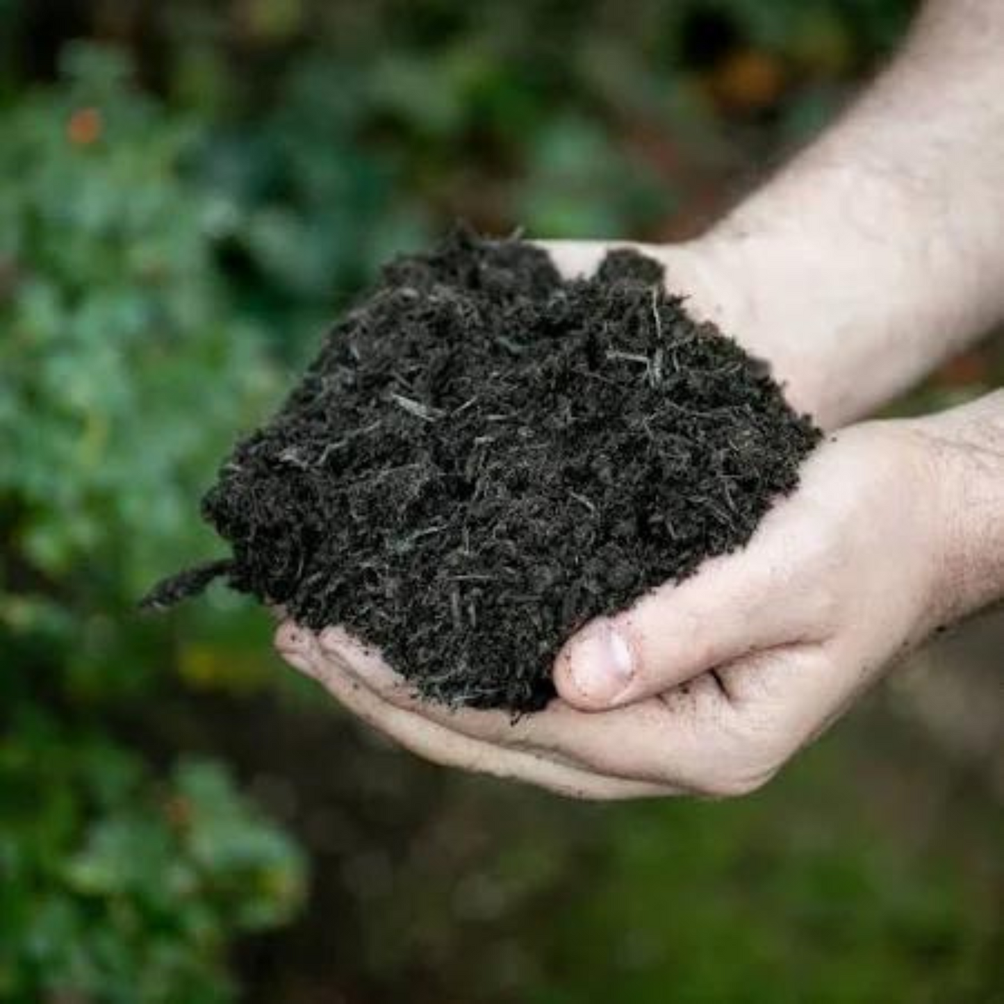 All Purpose Peat Compost 40l Twin Pack